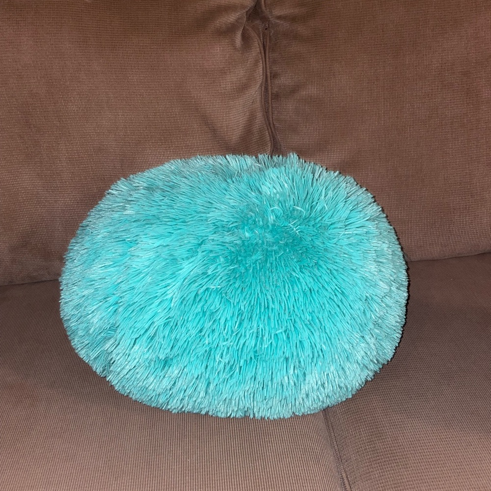 Fluffy Throw Pillow